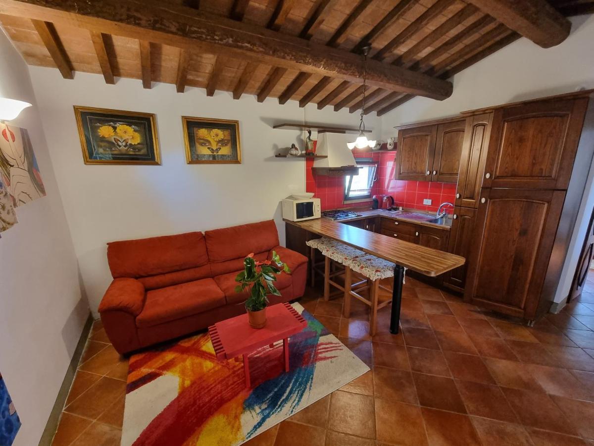 Vigna Lontana Villa Montescudaio Eksteriør bilde